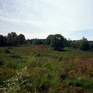 Meet your Posher, Mari